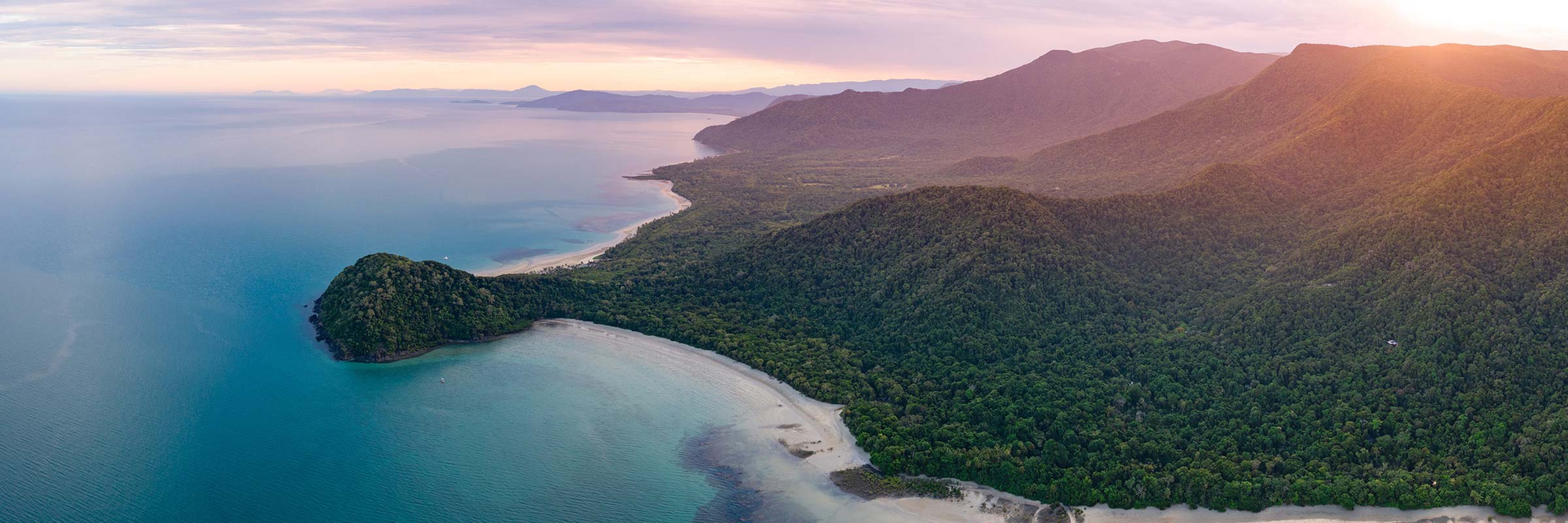 DAINTREE