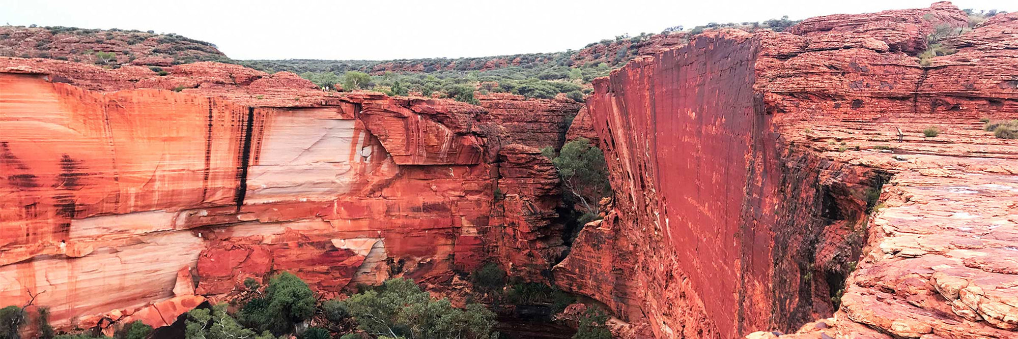 KINGS CANYON
