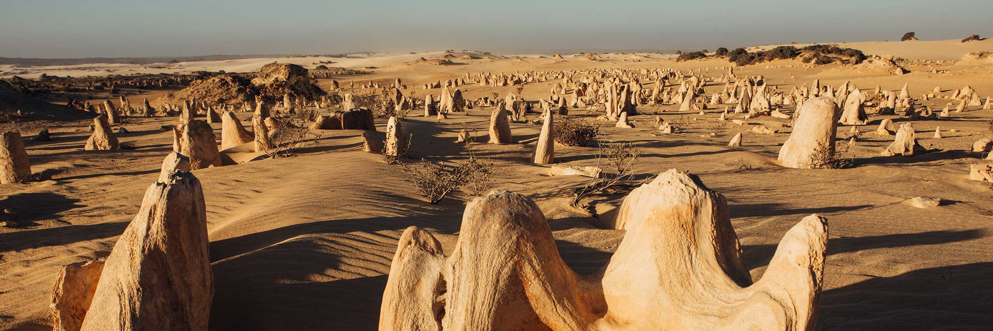PINNACLES DESERT